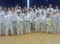 Success for local Taekwondo club