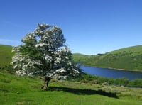 Consultation begins on potential parking charges at Meldon Reservoir — have your say