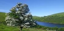 Consultation begins on potential parking charges at Meldon Reservoir — have your say