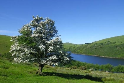 Consultation begins on potential parking charges at Meldon Reservoir — have your say