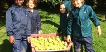 Call for apples for pressing at Iddesleigh's Nethercott House