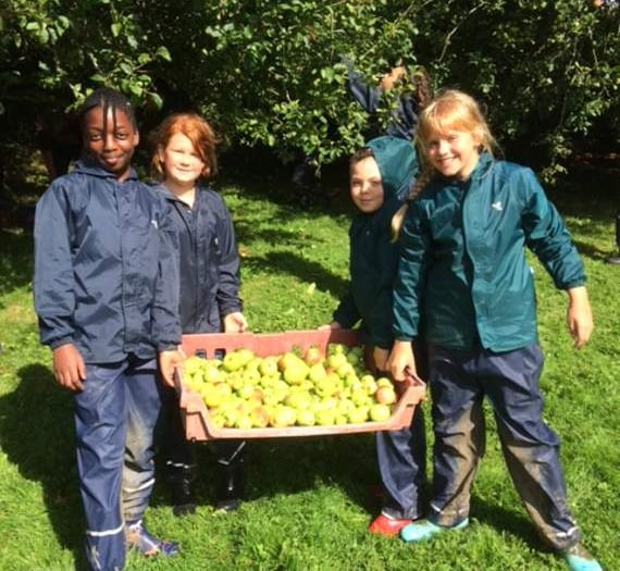 Call for apples for pressing at Iddesleigh's Nethercott House