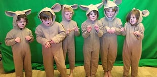 Drama project delivers Christmas magic to West Devon schools