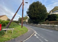 Police appeal for witnesses after man is seriously injured in Tavistock