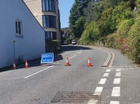 Drake Road in Tavistock closed after car hits electricity pole