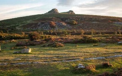 Emergency powers have been issued by Dartmoor National Park to stop wild camping at Bellever
