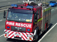 Trapped bullock freed by fire crews after vehicle left road at Sourton