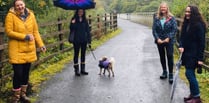 Horrabridge walking group celebrate friendship