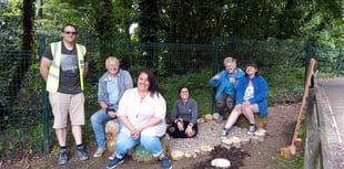 LiveWest helps school build sensory garden