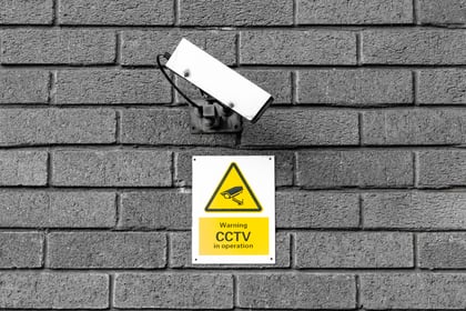 CCTV footage helped police catch vandals
