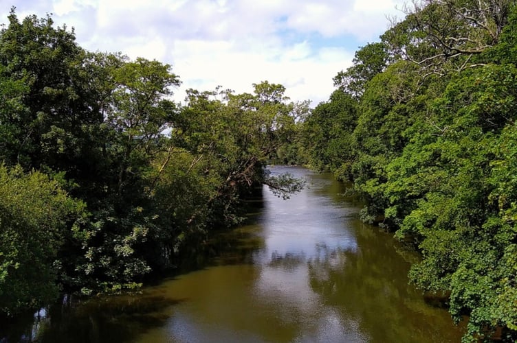 view upstream from Horsebridge on River Tamar