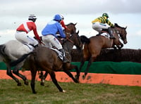 Point to point heads to Devon over bank holiday weekend 