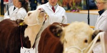 Agrifest returns to Westpoint