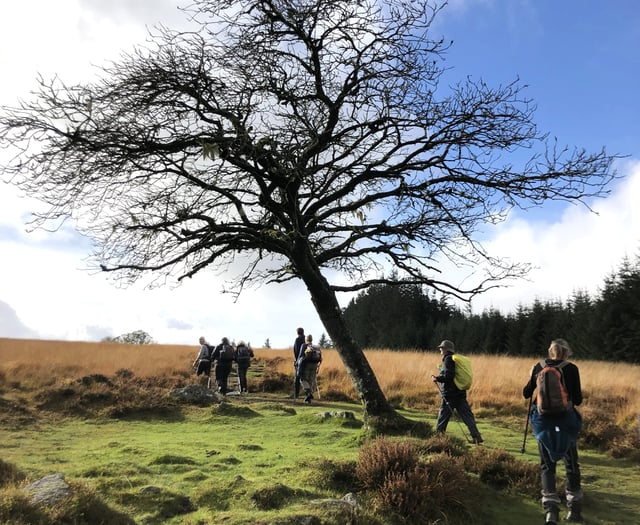 Okehampton Ramblers visit Sheepstor