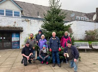 Christmas celebrations start as tree in Red Lion Yard erected