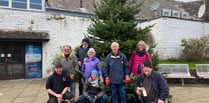 Christmas celebrations start as tree in Red Lion Yard erected