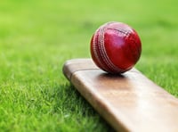 Hatherleigh cricketers go down by just one wicket