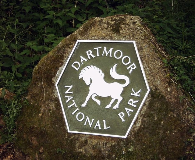 Dartmoor's Ranger Ralph Club for children gets creative to help birds