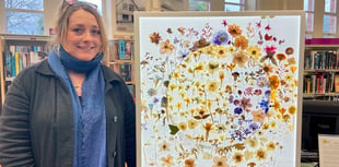 Grief cafe art on show at Okehampton Library