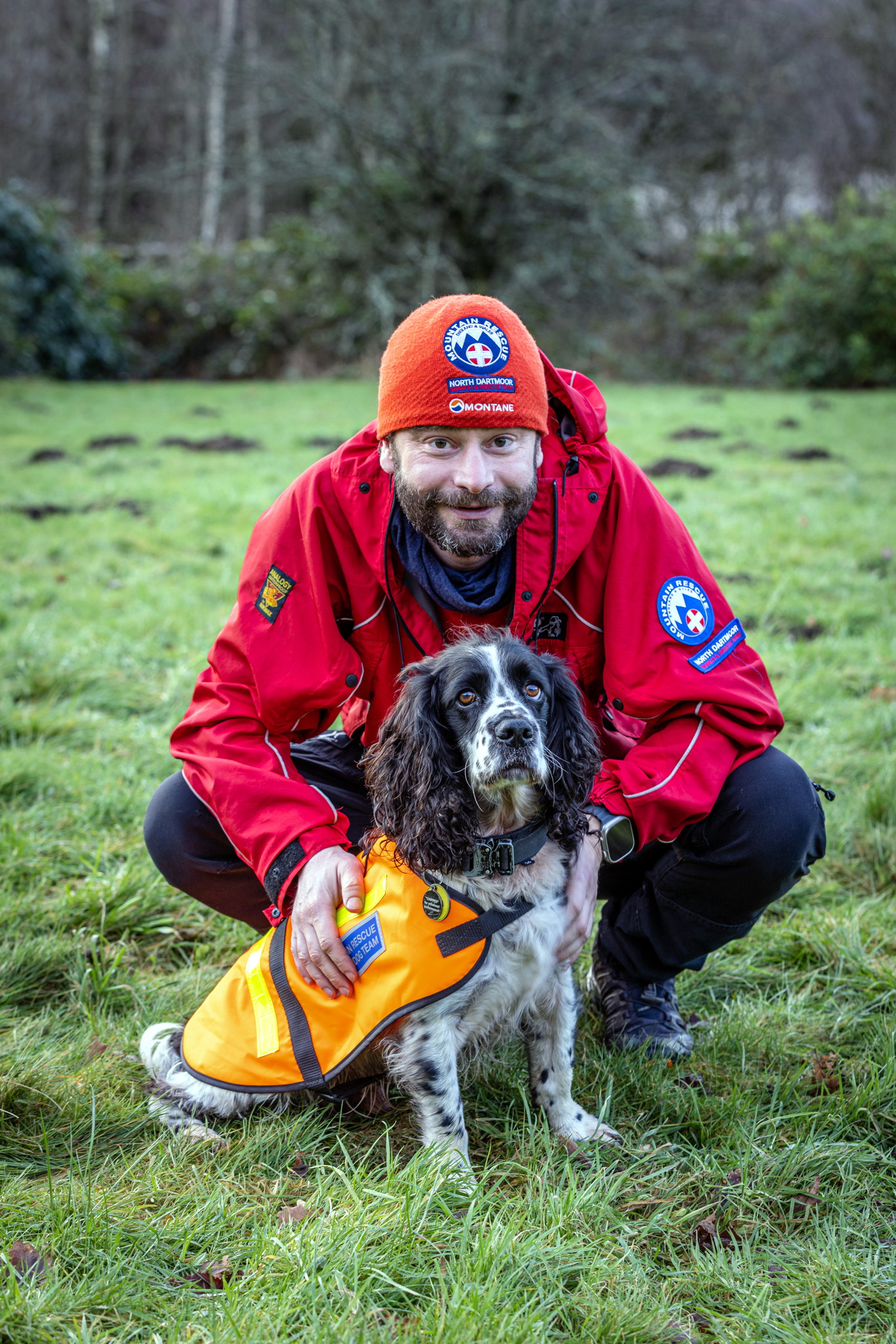 Dartmoor rescue sale dogs