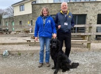 Okehampton Guide Dogs calls out for fundraisers