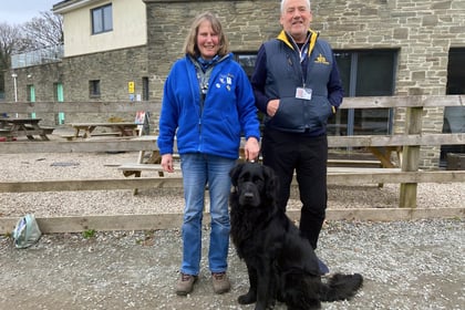 Okehampton Guide Dogs calls out for fundraisers