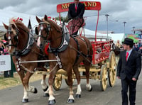 Heavy Horses Festival trots into its first Devon County Show