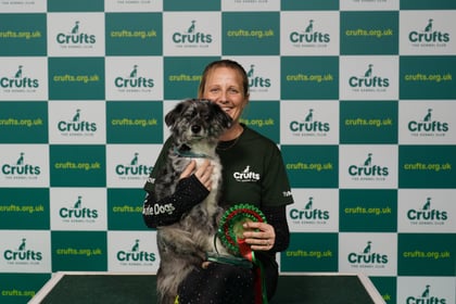 Agility star crowned winner at Crufts