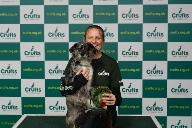 Lauren Langman with a Mini American Shepherd called Classic, who were the Agility - Large Novice ABC winners today (Friday 10.03.2023)  at Crufts 2023.

