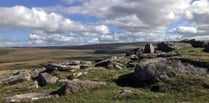 MPs call for public inquiry on Dartmoor