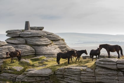 New parking charges hit Dartmoor