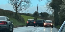 BREAKING: A377 closed after tree lands on car near Crediton
