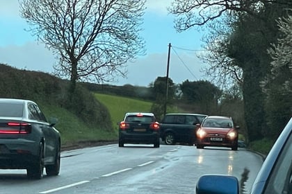BREAKING: A377 closed after tree lands on car near Crediton
