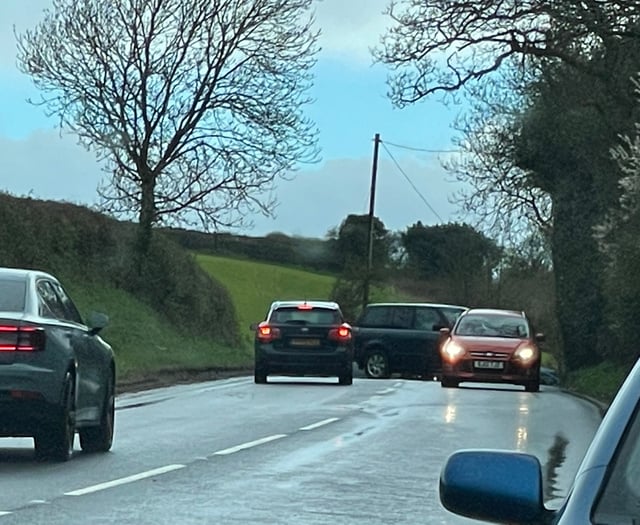 BREAKING: A377 closed after tree lands on car near Crediton
