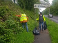 Unusual litter collected at ORIG's Clean for the King event