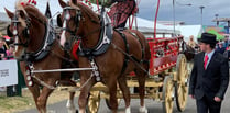 WATCH: a magnificent display of Heavy |Horses at the Devon County Show