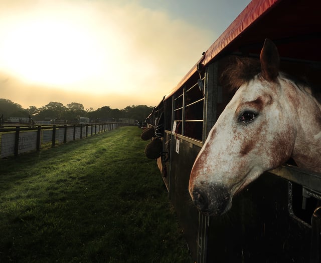 PICTURE SPECIAL: Devon County show, the first two days