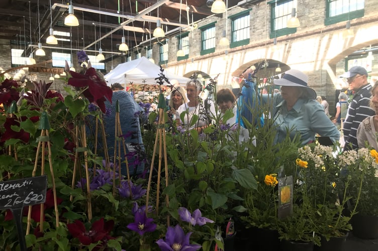 Tavistock Country Garden Show