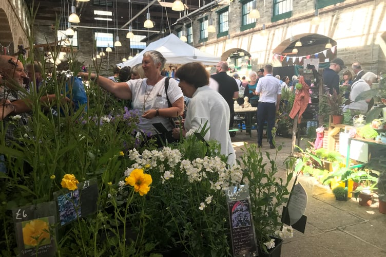 Tavistock Country Garden Show 2023