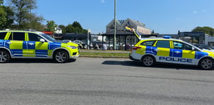 Man seized by police in Yelverton in lunchtime incident