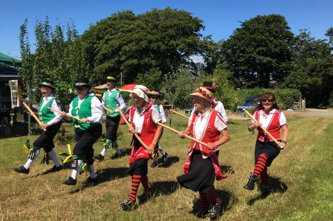 Midsummer celebrations Wren Music