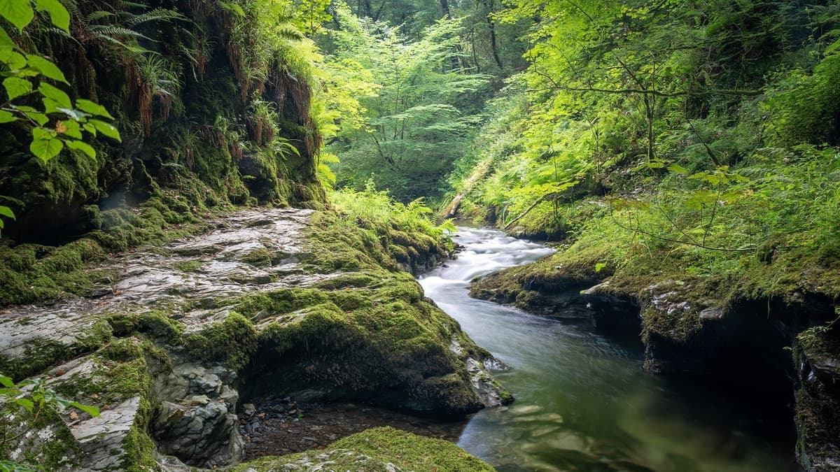 Lydford Gorge and Tree Surfers make Devon's top ten family attractions list 