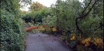 Highways teams thanked for swift clear-up after Storm Antoni