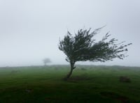 Storm Ciarán: take care on the roads