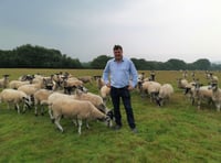 Farming being ‘deprioritised’, MP says