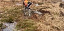 Dartmoor search team rescues walkers in bad weather