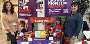 FearFree seeks event volunteers to raise awareness of domestic abuse
