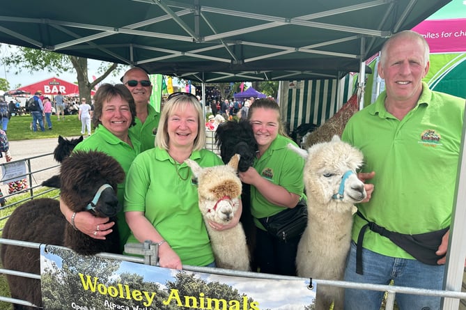 The team at Woolley Animals in Winkleigh with their alpacas
