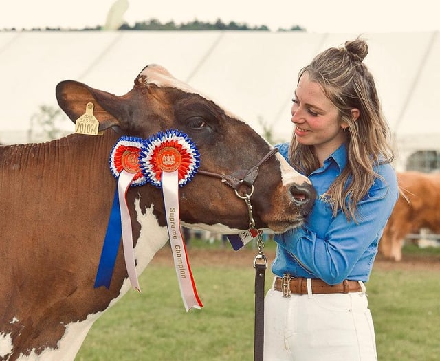 Family's cattle are pride of the shows