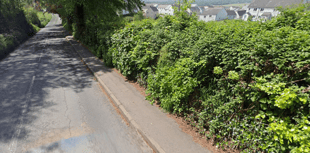 North Tawton petition launched for street lighting to improve safety